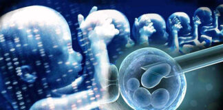 Preimplantasyon Genetik Tanı