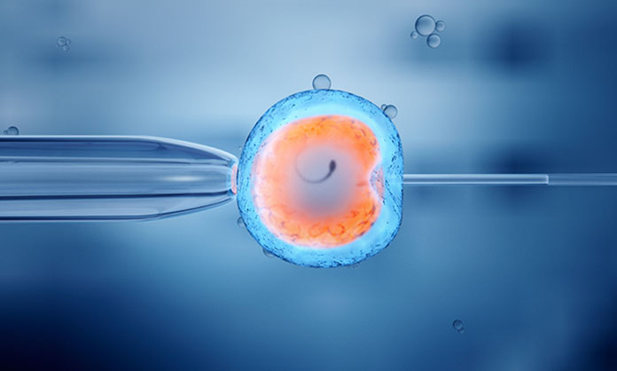 tüp bebek aşılama tedavisi tüp bebek aşılama tedavisi