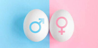 Tüp Bebek Tedavisi ile Cinsiyet Belirleme tüp bebek tedavisi ile cinsiyet seçimi