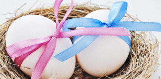 Yumurta Donasyonu yumurta donasyonu