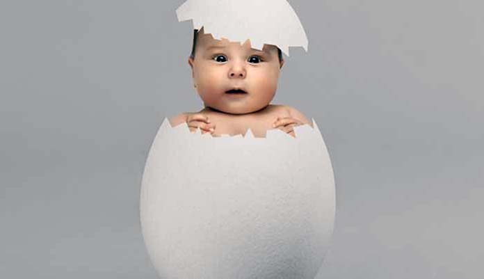 yumurta donasyonu nedir yumurta donasyonu nedir