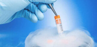 Yumurta ve Sperm Dondurma Yumurta ve Sperm Dondurma