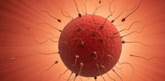 azospermi tedavisi kıbrıs