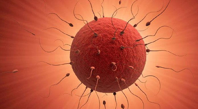 azospermi tedavisi kıbrıs azospermi tedavisi kıbrıs