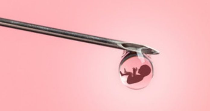 sitoplazma ve mitokondri nakli sitoplazma ve mitokondri nakli