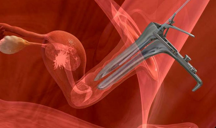 Tüp Bebek Transfer Sonrası Tüp Bebek Transfer Sonrası