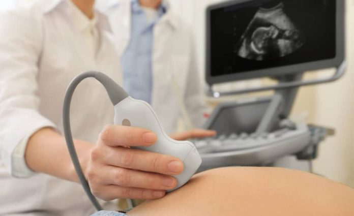 Bebek Ultrasonda Ne Zaman Görülür Bebek Ultrasonda Ne Zaman Görülür?