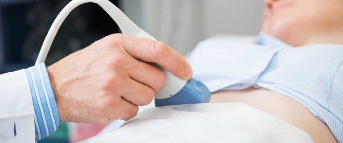 Fetüs Nedir?