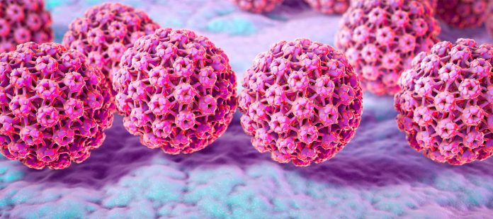 HPV Nedir HPV Nedir?