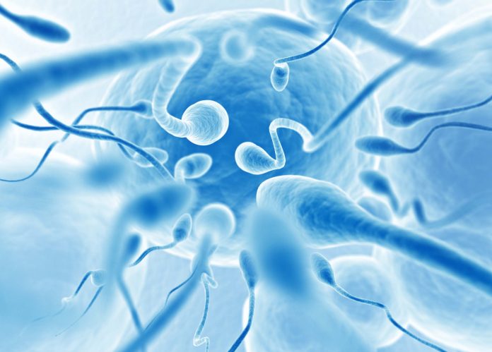 Sperm Donasyonu Fiyatları 2025 Sperm Donasyonu Fiyatları 2025
