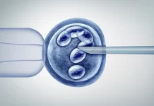 2026 Tüp Bebek Fiyatları | Güncel IVF Tedavisi ve Başarı Oranları Tüp Bebek Fiyatları 2026