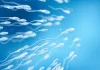 Sperm Donasyonu Fiyatları 2026 Sperm Donasyonu Fiyatları 2026