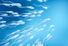 Sperm Donasyonu Fiyatları 2026 Sperm Donasyonu Fiyatları 2026